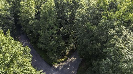 0 Cambridge Lane, ברמן, גאורגיה 30110, ארצות הברית של אמריקה 