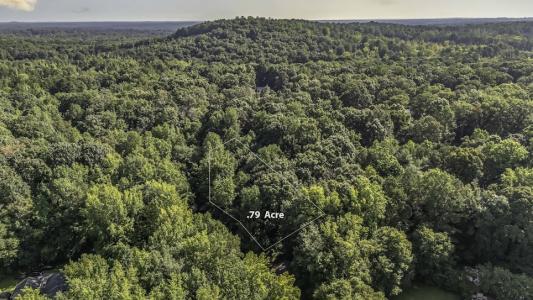 0 Cambridge Lane, ברמן, גאורגיה 30110, ארצות הברית של אמריקה 