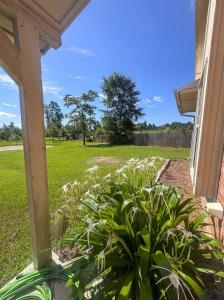 110 Mockingbird Lane, Linden, Texas 75563, Stati Uniti