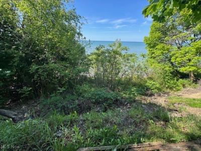 24 Iroquois Avenue, Painesville, Ohio 44077