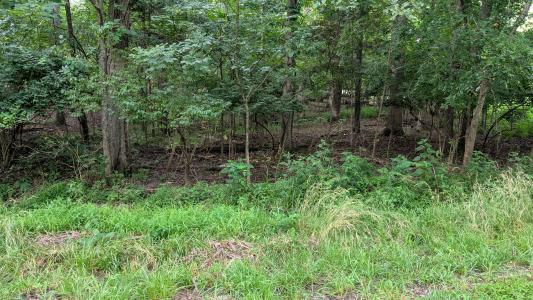 00 Lake Shore Drive South, Goreville, Illinois 62939, Estados Unidos