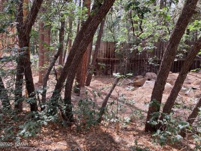 539 W Cooley Ln, Lakeside, Arizona 85929, HOA KỲ