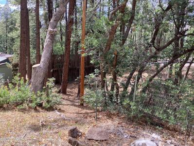 539 W Cooley Ln, Lakeside, Arizona 85929, HOA KỲ