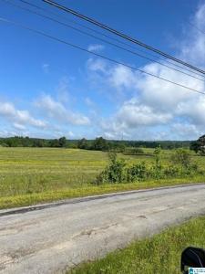 0 Morton Road, Oneonta, Alabama 35121