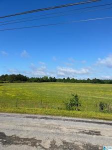 0 Morton Road, Oneonta, Alabama 35121