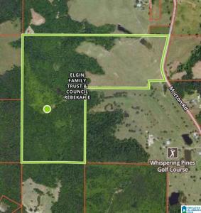 0 Morton Road, Oneonta, Alabama 35121