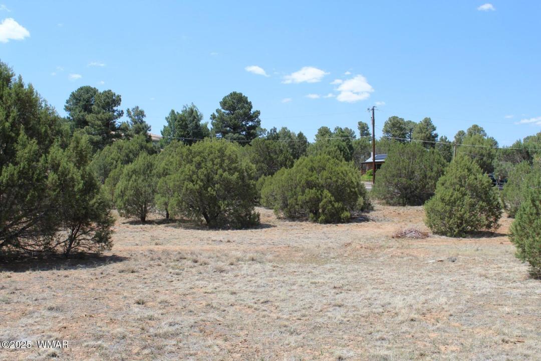 551 E Owens, Show Low, Arizona 85901, USA