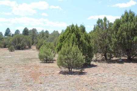 551 E Owens, Show Low, Arizona 85901, USA