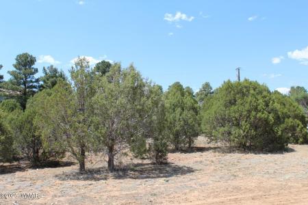551 E Owens, Show Low, Arizona 85901, USA