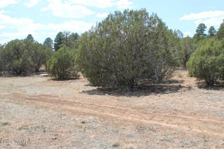 551 E Owens, Show Low, Arizona 85901, USA