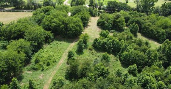 County Road 1226 , Quitman, Texas 75783, Estados Unidos