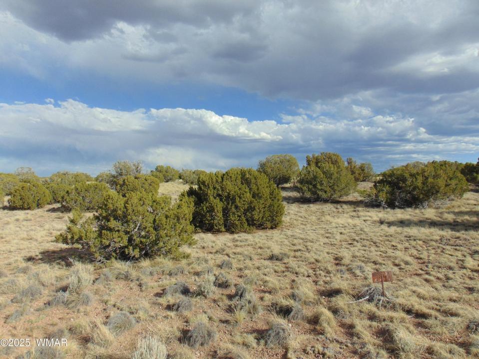 38 Gila Drive, Concho, Arizona 85924, Estados Unidos
