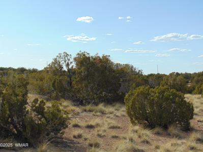 38 Gila Drive, Concho, Arizona 85924, Estados Unidos