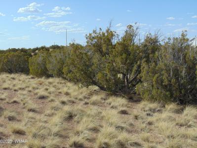 38 Gila Drive, Concho, Arizona 85924, Estados Unidos