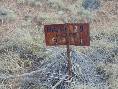 38 Gila Drive, Concho, Arizona 85924, Estados Unidos