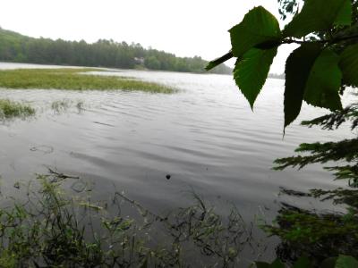 N9009 Deer TR, Lake Tomahawk, Wisconsin 54487, USA
