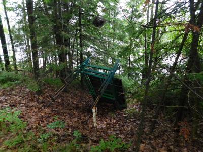 N9009 Deer TR, Lake Tomahawk, Wisconsin 54487, USA