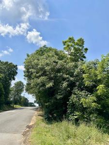 00 Meadow Street, Gaffney, South Carolina 29342, USA