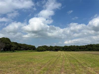 1757 County Road 252, Rising Star, Texas 76471, USA