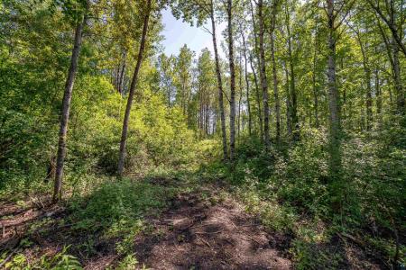 5170 & 5178 Hermantown Rd, Hermantown, Minnesota 55811