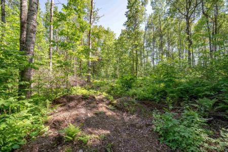 5170 & 5178 Hermantown Rd, Hermantown, Minnesota 55811