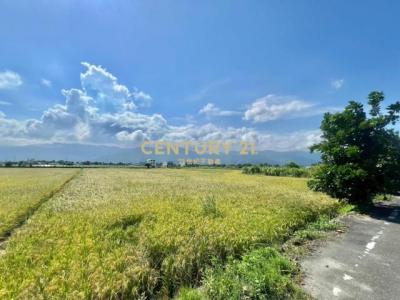 朝陽段, Цзяоси, Уезд Илань 262, Тайвань