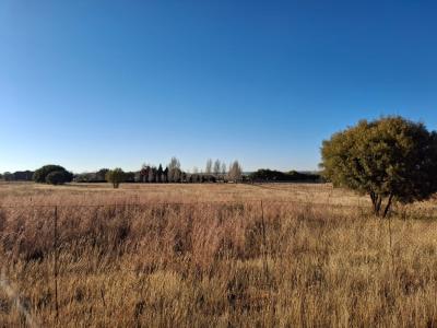 Bloemfontein, Free State, דרום אפריקה 