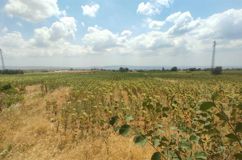 Çanakkale, Turquie