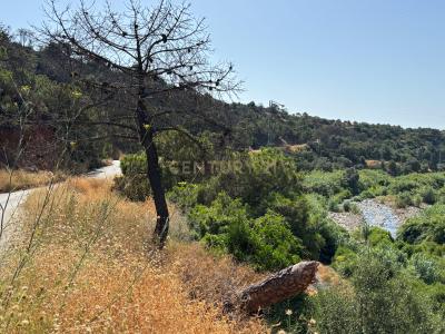 Málaga, Andalucía 29680, Spain