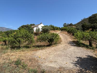 مالقة, Andalucía 29680, إسبانيا