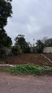 Paraje Los Nogales S/N,, Villa De Etla, 오악 사카 68200, 멕시코
