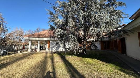 laprida 1150, Chacras De Coria, Mendoza 5505, Argentina