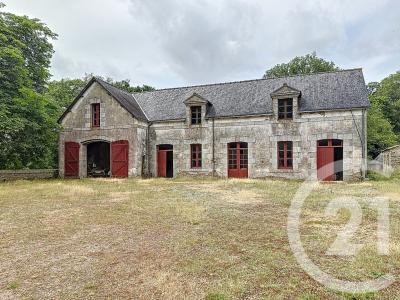 St Jean La Poterie, Bretagne 56350, France
