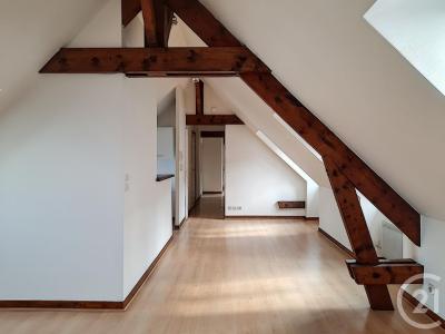 Provins, Île-de-France 77160, 法國