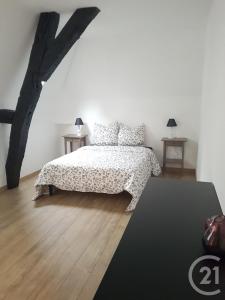 Tours, Centre-Val De Loire 37100, France