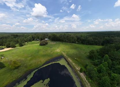 185 Edgewater Cove, Traskwood, ארקנסו 72167, ארצות הברית של אמריקה 