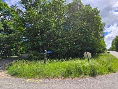 9760 Main St, Canadian Lakes, Michigan 49346, USA