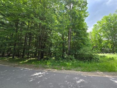 9760 Main St, Canadian Lakes, Michigan 49346, USA