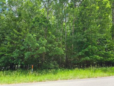 9760 Main St, Canadian Lakes, Michigan 49346, USA