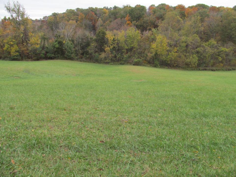 793 S Pickens Bridge Road, Gray, Tennessee 37615, Estados Unidos