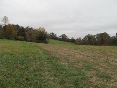 793 S Pickens Bridge Road, Gray, Tennessee 37615, Estados Unidos