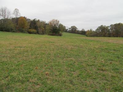 793 S Pickens Bridge Road, Gray, Tennessee 37615, Estados Unidos