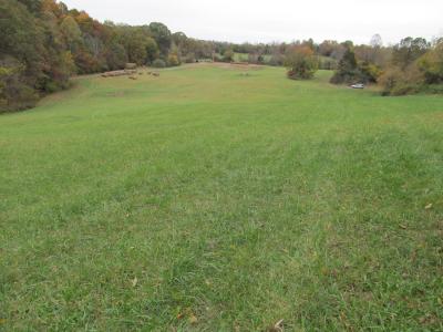 793 S Pickens Bridge Road, Gray, Tennessee 37615, Estados Unidos