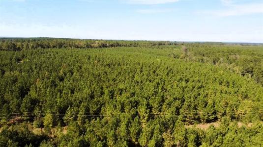 0 Us Highway 190, Livingston, Texas 77351, USA