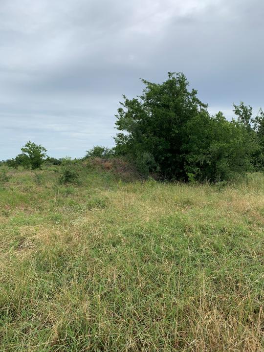 1144 CR 1660, Chico, تكساس 76431, الولايات المتحدة