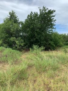 1144 CR 1660, Chico, Texas 76431, USA