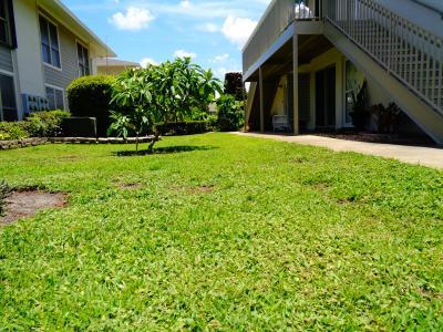 1935 Conway Road Unit M1, Orlando, Florida 32812, HOA KỲ