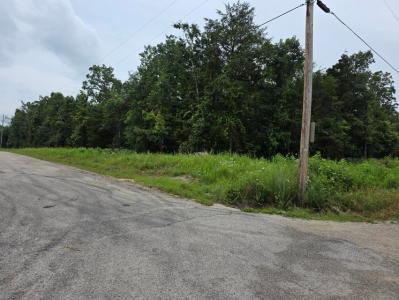Saratoga/Elm Lot 261, Shell Knob, Missouri 65747, HOA KỲ