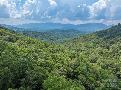 99999 Independence Boulevard, Asheville, 北卡羅來納州 28805, 美國