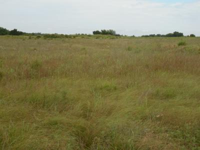 S Rose Road NW/C of E. 19th/ Rose Rd. Tract 1, Stillwater, Oklahoma 74074, États-Unis